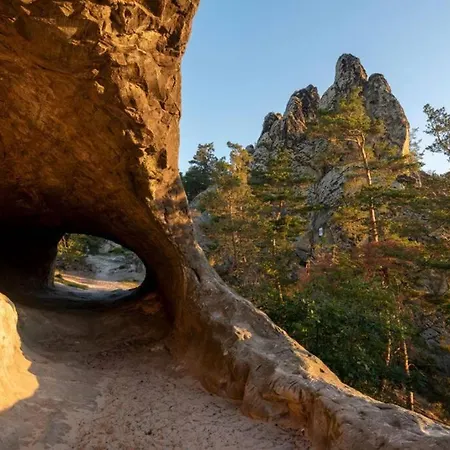 Fourelements Grand Chalet *