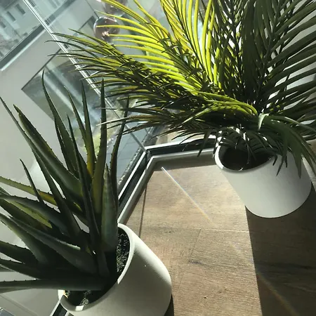 Fourelements Grand Blankenburg (Harz)