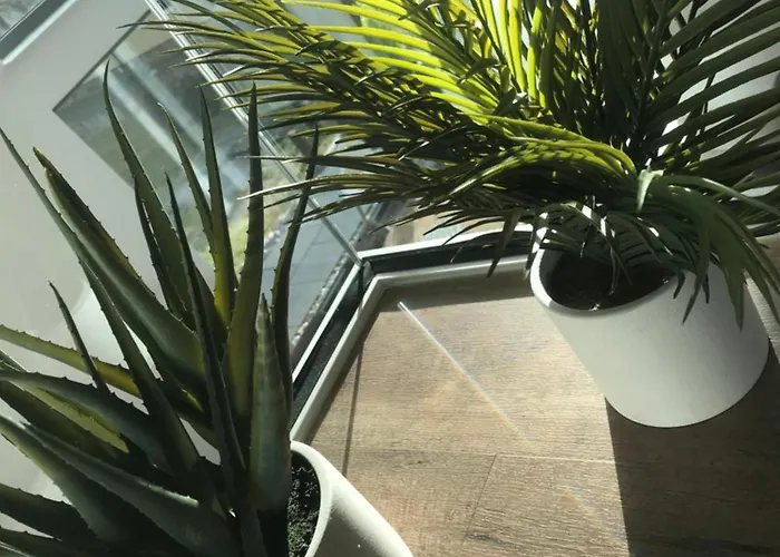 Fourelements Grand Blankenburg (Harz)